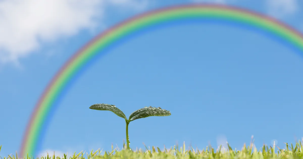 草の上に芽吹いた双葉と、その上にかかる虹